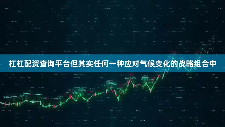 杠杠配资查询平台但其实任何一种应对气候变化的战略组合中