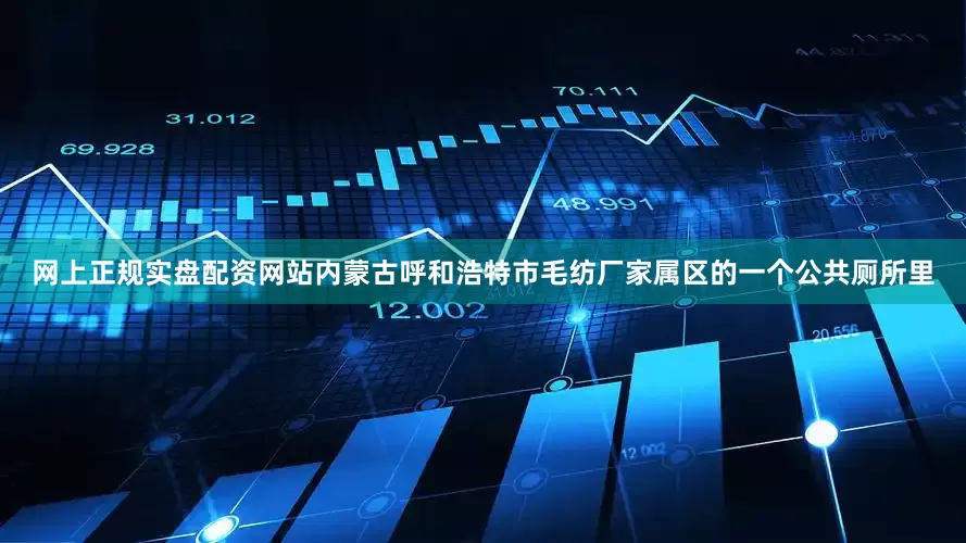 网上正规实盘配资网站内蒙古呼和浩特市毛纺厂家属区的一个公共厕所里